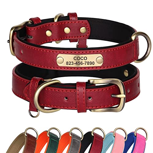 Didog Hundehalsband aus Leder, personalisierbar für kleine, mittelgroße und große Hunde, weich gepolstert, strapazierfähig, mit graviertem Namensschild, Rot, Größe L von Didog