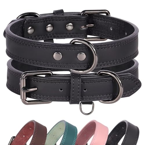 Didog Hundehalsband aus echtem Leder, langlebig, weich, strapazierfähig, mit Doppel-D-Ringen, verstellbares Hundehalsband aus Leder mit Metallschnalle für mittelgroße und große Hunde, Schwarz, L von Didog