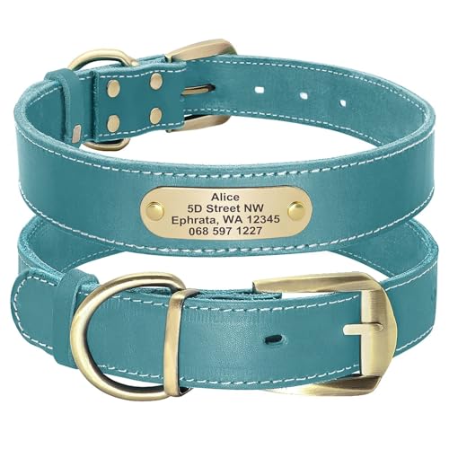 Didog Hundehalsband aus echtem Leder mit graviertem Namensschild, personalisierbar, weiches Leder, mit individuellem ID-Tag, Braun/Grün/Rot für mittelgroße und große Hunde (XL, Blau) von Didog