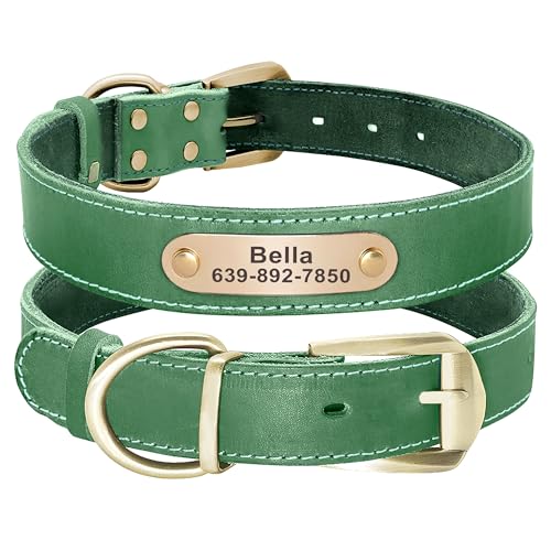 Didog Hundehalsband aus echtem Leder mit graviertem Namensschild, personalisierbar, weiches Leder, Hundehalsband mit individuellem ID-Etikett, braun/grün/rot für mittelgroße Hunde von Didog