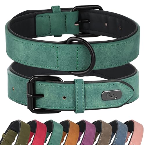 Didog Hundehalsband aus weichem, gepolstertem Leder, atmungsaktives, strapazierfähiges Hundehalsband aus Leder mit Verstellbarer, rostfreier Metallschnalle für mittelgroße und große Hunde, Grün, M von Didog