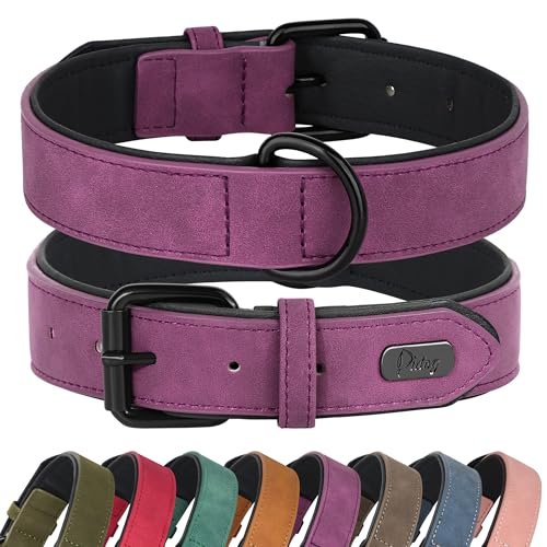 Didog Hundehalsband aus weichem, gepolstertem Leder, atmungsaktives, strapazierfähiges Hundehalsband aus Leder mit Verstellbarer, rostfreier Metallschnalle für mittelgroße und große Hunde, Lila, XL von Didog