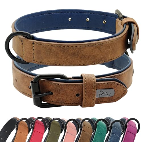 Didog Hundehalsband aus weichem, gepolstertem Leder, atmungsaktives, strapazierfähiges Hundehalsband aus Leder mit Verstellbarer rostfreier Metallschnalle für mittelgroße und große Hunde, Braun, M von Didog