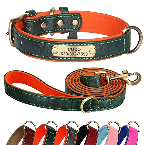 Didog Hundehalsband und Leine, Set aus Leder für kleine, mittelgroße und große Hunde, 1,5 m weich gepolsterte Leder-Hundeleine und Halsband, strapazierfähiges Hundehalsband aus Leder mit graviertem von Didog