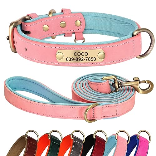 Didog Hundehalsband und Leine, Set aus Leder für kleine, mittelgroße und große Hunde, 1,5 m, weich gepolsterte Leder-Hundeleine und Halsband, strapazierfähiges Hundehalsband aus Leder mit graviertem von Didog