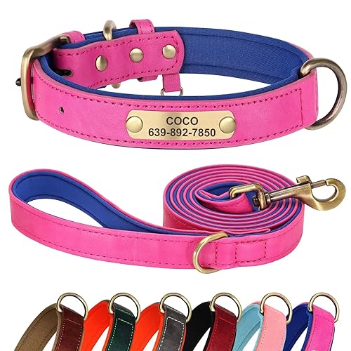 Didog Hundehalsband und Leine, Set aus Leder für kleine, mittelgroße und große Hunde, 1,5 m, weich gepolsterte Leder-Hundeleine und Halsband, strapazierfähiges Hundehalsband aus Leder mit graviertem von Didog