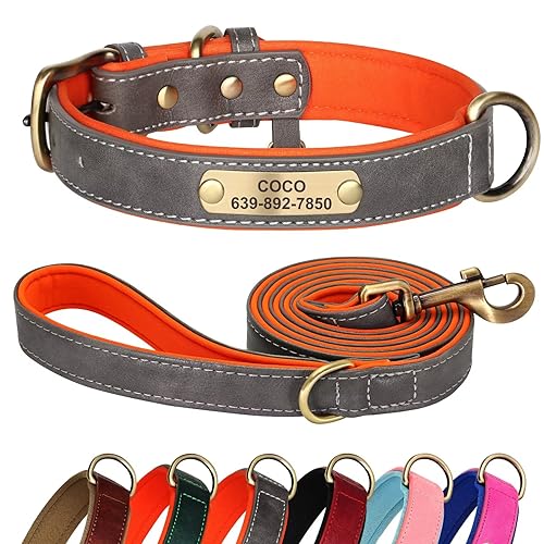 Didog Hundehalsband und Leine, Set aus Leder für kleine, mittelgroße und große Hunde, 1,5 m, weich gepolsterte Leder-Hundeleine und Halsband, strapazierfähiges Hundehalsband aus Leder mit graviertem von Didog