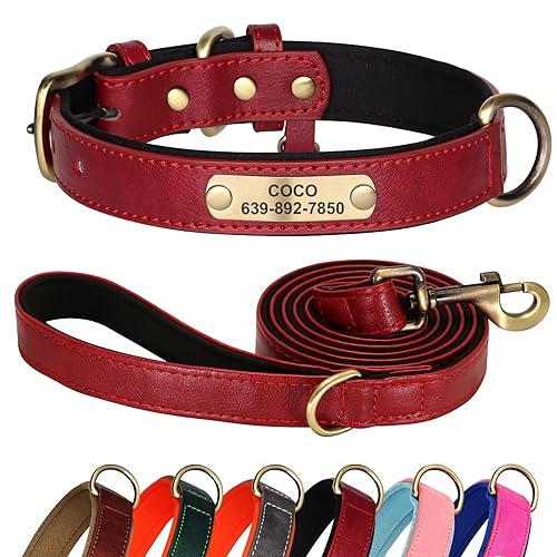 Didog Lederhundehalsband und -Leine Set, weich gepolstert, strapazierfähig, graviert, verstellbar, inklusive Leine, für kleine, mittelgroße und große Hunde, 1,5 m, in Rot von Didog