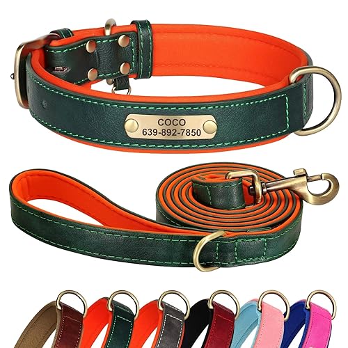 Didog Hundehalsband und Leine, Set aus Leder für kleine, mittelgroße und große Hunde, 1,5 m, weich gepolsterte Leder-Hundeleine und Halsband, strapazierfähiges Hundehalsband aus Leder mit graviertem von Didog