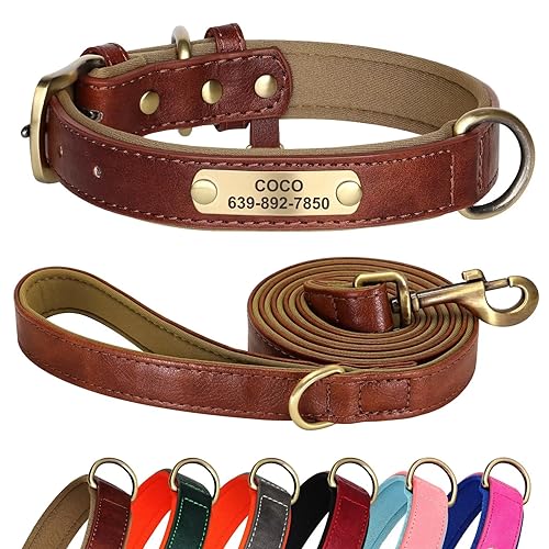 Didog Hundehalsband und Leine, Set aus Leder für kleine, mittelgroße und große Hunde, 1,5 m, weich gepolsterte Leder-Hundeleine und Halsband, strapazierfähiges Hundehalsband aus Leder mit graviertem von Didog