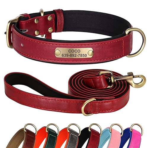 Didog Hundehalsband und Leine, Set aus Leder für kleine, mittelgroße und große Hunde, 1,5 m, weich gepolsterte Leder-Hundeleine und Halsband, strapazierfähiges Hundehalsband aus Leder mit graviertem von Didog