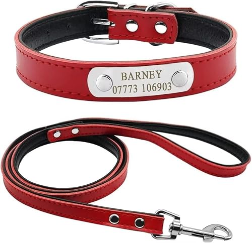 Didog Hundehalsband und Leine, weiches Leder, gepolstert, mit personalisiertem Namensschild, passend für kleine und mittelgroße Hunde, Rot, Größe XS von Didog