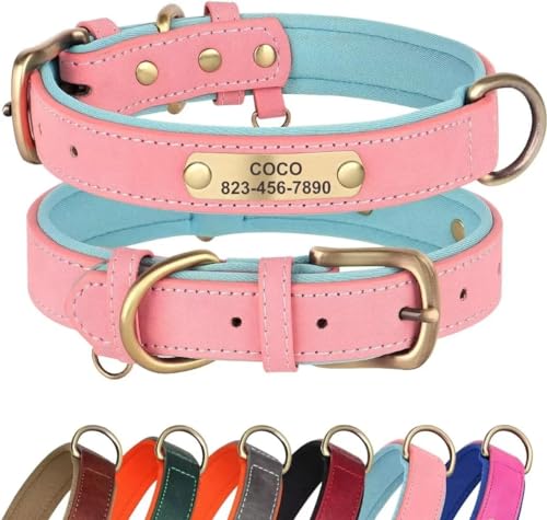 Didog Hundehalsband aus Leder, personalisierbar für kleine, mittelgroße und große Hunde, weich gepolstert, strapazierfähig, mit graviertem Namensschild, Rosa, Größe L von Didog