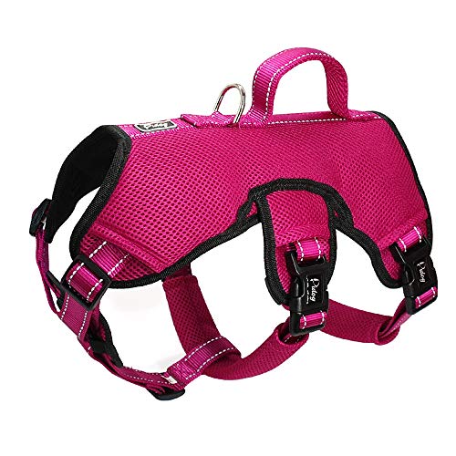 Didog Multi-Use Escape Proof Dog Harnesses for Escape Artist Dogs,Reflective Adjustable Padded Sports Vest Harlter for Medium Large Dogs Hiking Walking Trails,Rose,M von Didog