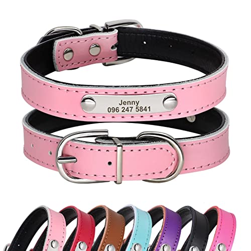 Didog Niedliches gepolstertes Hundehalsband aus Leder mit Namensschild, für Katzen und kleine mittelgroße Hunde, Größe M, Pink von Didog