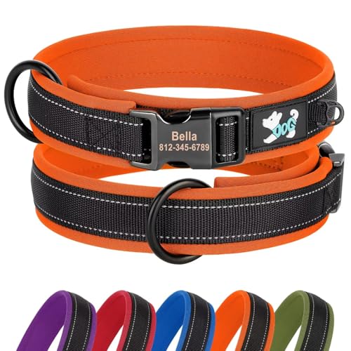 Didog Personalisiertes Nylon-Hundehalsband, weiches Neopren gepolstert, individuelle Hundehalsbänder, reflektierendes Hundehalsband graviertem Namensschild kleine, mittelgroße große Hunde, Orange, S von Didog