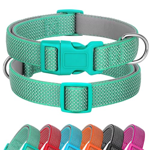 Didog Reflektierendes Hundehalsband mit Schnalle, verstellbar, weiches Neopren, gepolstert, Nylon, Haustierhalsbänder für kleine, mittelgroße und große Hunde, Grün, M von Didog