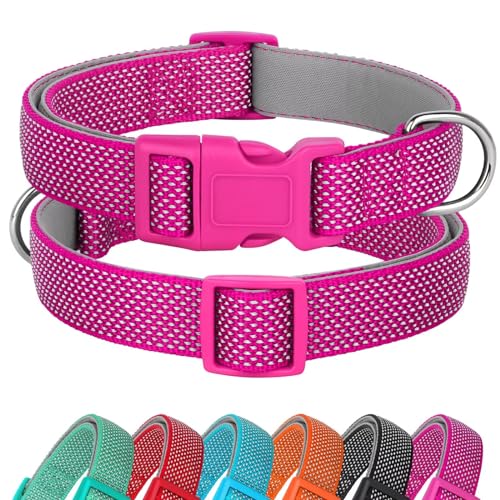 Didog Reflektierendes Hundehalsband mit Schnalle, verstellbar, weiches Neopren, gepolstert, Nylon, Haustierhalsbänder für kleine, mittelgroße und große Hunde, Hot Pink, M von Didog