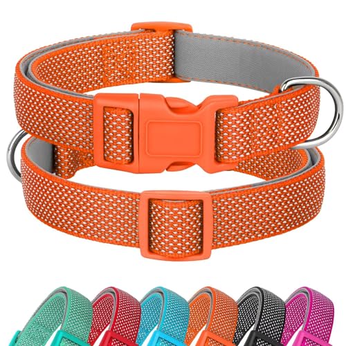 Didog Reflektierendes Hundehalsband mit Schnalle, verstellbar, weiches Neopren, gepolstert, Nylon, Haustierhalsbänder für kleine, mittelgroße und große Hunde, Orange, L von Didog