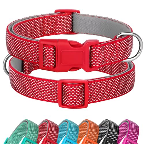 Didog Reflektierendes Hundehalsband mit Schnalle, verstellbar, weiches Neopren, gepolstert, Nylon, Haustierhalsbänder für kleine, mittelgroße und große Hunde, Rot, M von Didog