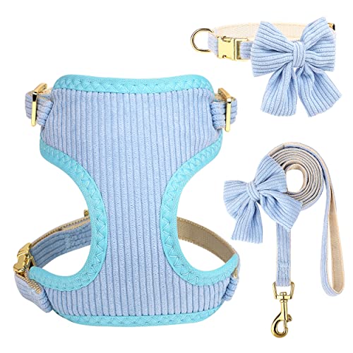 Didog süße Halsband Harness und Leine Set für Große Hunde, verstellbare Halsbänder und Leinen mit Fliege, atmungsaktive weiche Mesh-Polsterverkleidung für Mittlere Hunde beim Gassi gehen, Blau, M von Didog