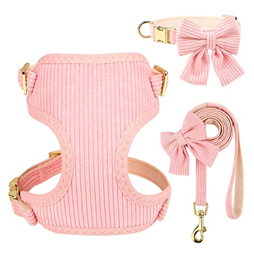 Didog süße Halsband Harness und Leine Set für Große Hunde, verstellbare Halsbänder und Leinen mit Fliege, atmungsaktive weiche Mesh-Polsterverkleidung für Mittlere Hunde beim Gassi gehen, Rosa, M von Didog