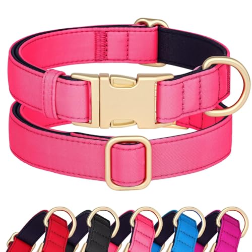 Didog Hundehalsband aus Nylon, weich gepolstert, strapazierfähiges Hundehalsband mit Schnellverschluss-Metallschnalle, leichtes und atmungsaktives Hundehalsband für große, mittelgroße,Rosa,L von Didog