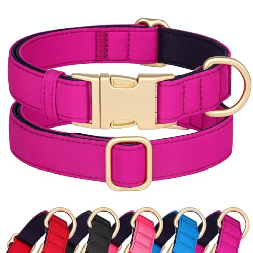 Didog Hundehalsband aus Nylon, weich gepolstert, strapazierfähiges Hundehalsband mit Schnellverschluss-Metallschnalle, leichtes und atmungsaktives Hundehalsband für kleine Hunde,Hot Pink,S von Didog