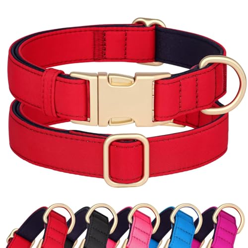 Didog Hundehalsband aus Nylon, weich gepolstert, strapazierfähiges Hundehalsband mit Schnellverschluss-Metallschnalle, leichtes und atmungsaktives Hundehalsband für große, mittelgroße,Rot,L von Didog