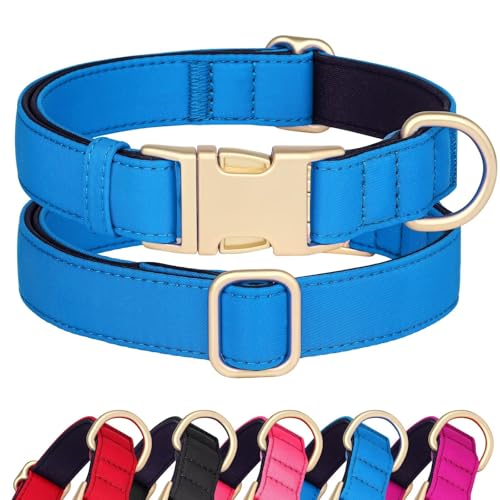 Didog Hundehalsband aus Nylon, weich gepolstert, strapazierfähiges Hundehalsband mit Schnellverschluss-Metallschnalle, leichtes und atmungsaktives Hundehalsband für große, mittelgroße,Blau,M von Didog