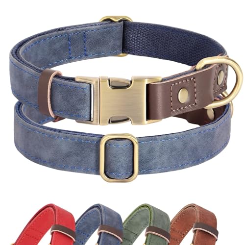 Didog Weich gepolstertes Leder-Hundehalsband für große Hunde, klassisches, robustes Hundehalsband mit Schnellverschluss-Metallschnalle, verstellbar, großes Hundehalsband, Leder, Blau, Größe L von Didog