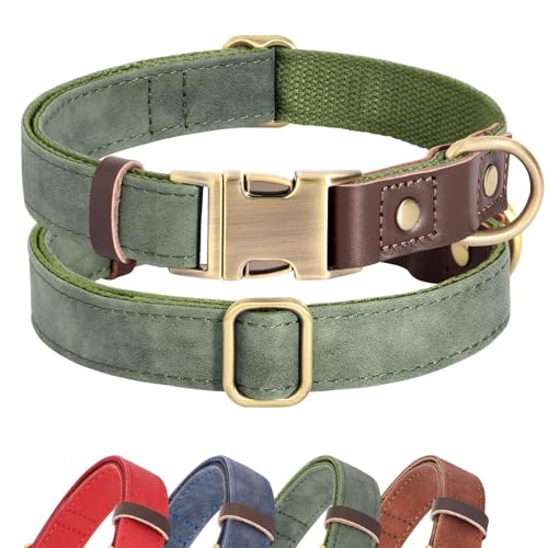 Didog Weich gepolstertes Leder-Hundehalsband für große Hunde, klassisches, robustes Hundehalsband mit Schnellverschluss-Metallschnalle, verstellbar, großes Hundehalsband, Leder, Grün, Größe L von Didog