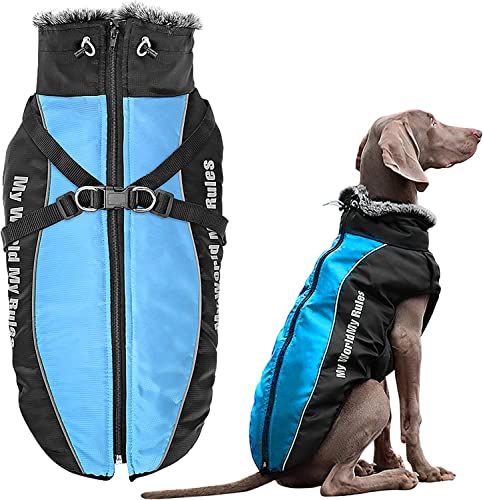 Didog wasserdichte Hunde-Winterjacke, Kaltwetter-Hundemäntel mit Geschirr und Pelzkragen, einfaches Gehen und weiche warme Sportbekleidung für mittelgroße und große Hunde, Blau, Größe 5XL von Didog