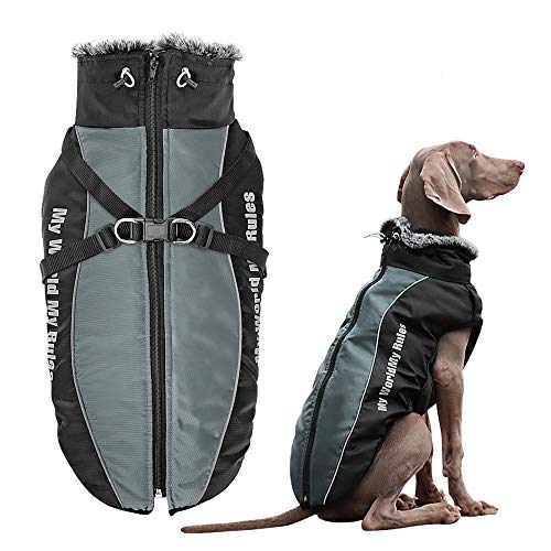 Didog wasserdichte Hunde-Winterjacke, Kaltwetter-Hundemäntel mit Geschirr und Pelzkragen, einfaches Gehen und weiche warme Sportbekleidung für mittelgroße und große Hunde, Grau, Größe 2XL von Didog