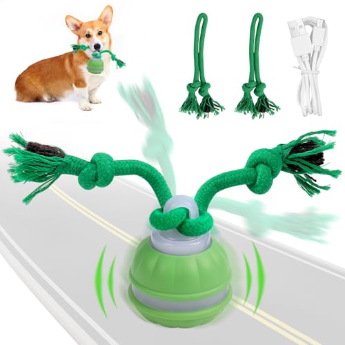 Diealles Shine Interaktives Ball Spielzeug Für Hunde, Automatisch Rollender Ball Mit USB-Kabel, Für Kleine Mittlere Hunde von Diealles Shine