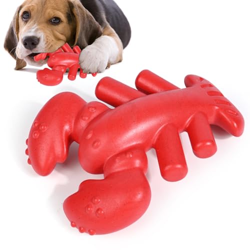 Diealles Shine Hunde Kauspielzeug, Unzerstörbares Hundespielzeug, Langlebig Interaktives Hundespielzeug, Saubere Zähne, Hund Kauspielzeug Für Mittelgroße Und Große Hunde(Hummer) von Diealles Shine