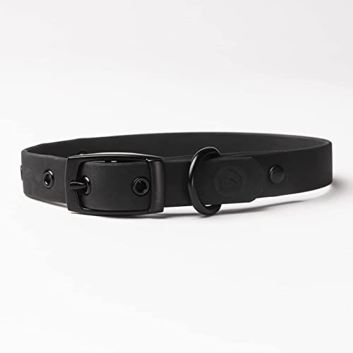 DIGGS Wasserdichtes Hundehalsband – weich beschichtetes Nylon-Hundehalsband mit Metallschnalle – langlebig, stilvoll und leicht zu reinigen (XS, Anthrazit) von Diggs