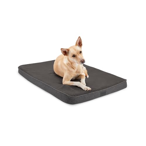 Diggs Snooz Dunkelgraues Hundebett I Memory-Schaum-Welpenbett I Orthopädisches Hundebett I Perfekte Größe für Revol-Hundebox I Kistenpolster hat abnehmbaren Bezug zur Reinigung (98,3 cm L x 62 cm B x 7 cm) I Intermediate von Diggs