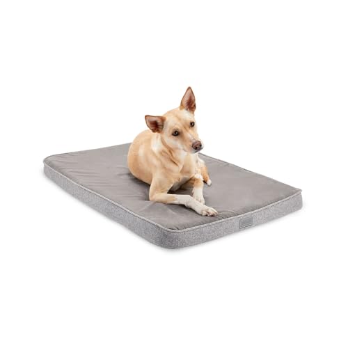 Diggs Snooz Hundebett, Memory-Schaum, orthopädisches Hundebett, perfekte Größe für Revol-Hundekäfige, I Kistenpolster hat einen abnehmbaren Bezug zur Reinigung (98,3 cm L x 62 cm B x 7 cm H) von Diggs