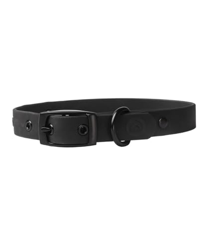 Diggs Verstellbares Schnallenhalsband für Hunde, bequemes Halsband, Nylongurt, Metallbeschläge, geruchsresistent, leicht zu reinigen, stilvolles Design (Medium, Anthrazit) von Diggs