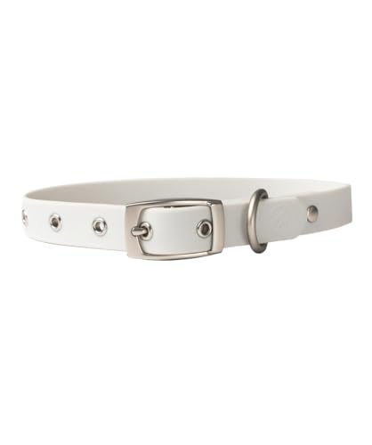 Diggs Verstellbares Schnallenhalsband für Hunde, bequemes Halsband, Nylongurt, Metallbeschläge, geruchsresistent, leicht zu reinigen, stilvolles Design (Medium, Esche) von Diggs