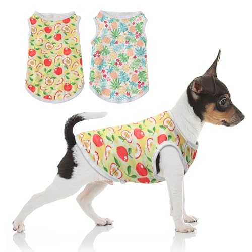 2 Pack Hunde-Shirts für Kleine Hunde,Welpen Kleidung Atmungsaktives Sommer Basic T-Shirt Baumwolle Tee Shirt Hund Tank Top Haustier Kleidung für Hundekatze Kleidung(S) von DiiWmme