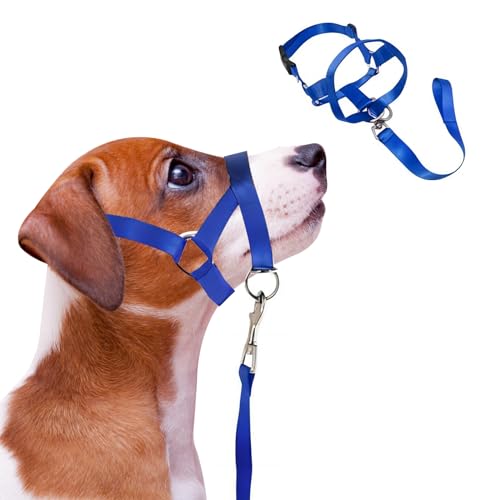 Hunde Kopfhalsband, Hund Maulkorb Sicherheit Kopfgeschirr für Hunde, verstellbare Hund Maulkorb weiches Nylon Haustier Maulkorb (L) von DiiWmme