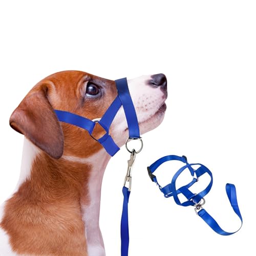 Hunde Kopfhalsband, Hund Maulkorb Sicherheit Kopfgeschirr für Hunde, verstellbare Hund Maulkorb weiches Nylon Haustier Maulkorb (M) von DiiWmme