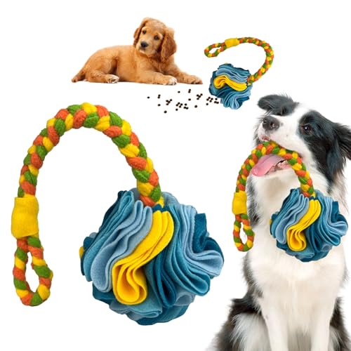 Schnüffelball für Hunde,Hundeschnüffelball interaktives Hundespielzeug für Langeweile Haustier Snuffle Ball Toy Hund Puzzle Spielzeug für Kleine und Mittelgroße Hunde(Bunt 2) von DiiWmme