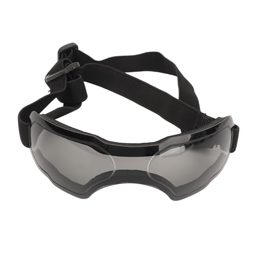 Hundebrille mit Staubdichter und Winddichter Linse, Leichter Schutz für Mittelgroße Hunde (Black) von Dilwe