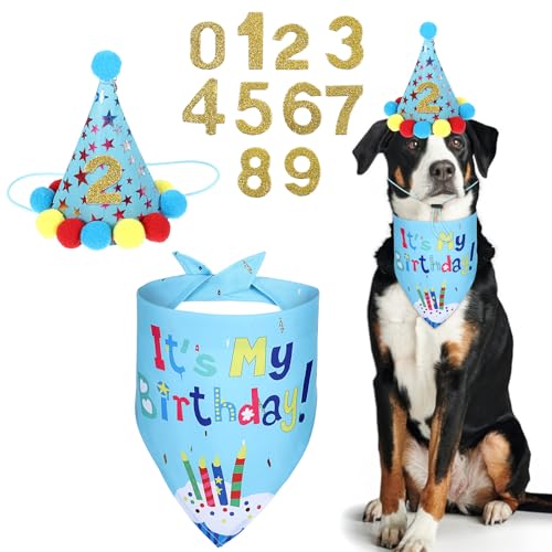 Dimeho Hunde-Geburtstags-Bandana-Set, Hunde-Geburtstagsparty-Zubehör Haustier Katzen Hunde Party Bandana Hundeschal und Hunde-Geburtstagsparty-Mütze mit Süßer Hundefliege (blau) von Dimeho