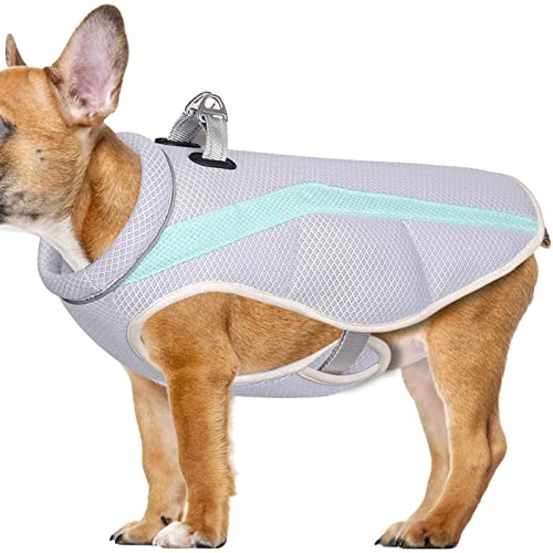 Kühlmantel für Hunde - Kühlmantel für Haustiere,Atmungsaktive Sonnenschutz-ärmellose Sommer-Haustier-Kühljacke für Training, Wandern, Outdoor, kleine mittelgroße Hunde von Dimweca