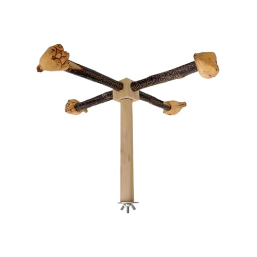 Bird Stand Barch Toy - Hängende Papageienschwung, Bird -Fitness -Spielzeug -Spielzeug -Barsch -Schwung, Sittichkletternbarch für Käfig, Holzspin -Sittiche -Spielzeug für kleine mittelgroße Cockatiels, von Dinchaakuarry