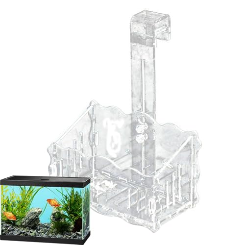 Dekorative Fischtank Kleine Pflanzenbehälter Fischtankzubehör Schwimmend Pflanzenkorb Aquarium Dekoration Unterwasserpflanzhalter Hydroponic Pot Transparent Floating Tasse Wasserwurzel von Dinchaakuarry